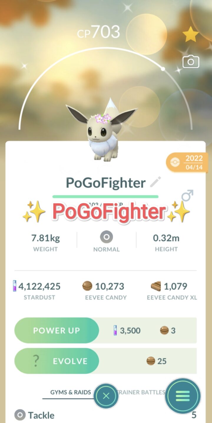 Pokémon GO Shiny Eevee Flower Crown – Trade 20.000 stardust (Read Describe)
