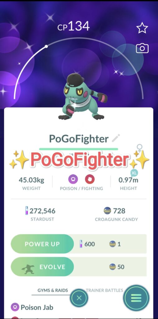 PoGoFighter