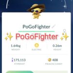 Pokémon GO Shiny Summer Style Pichu – Trade 20.000 stardust (Read Describe)