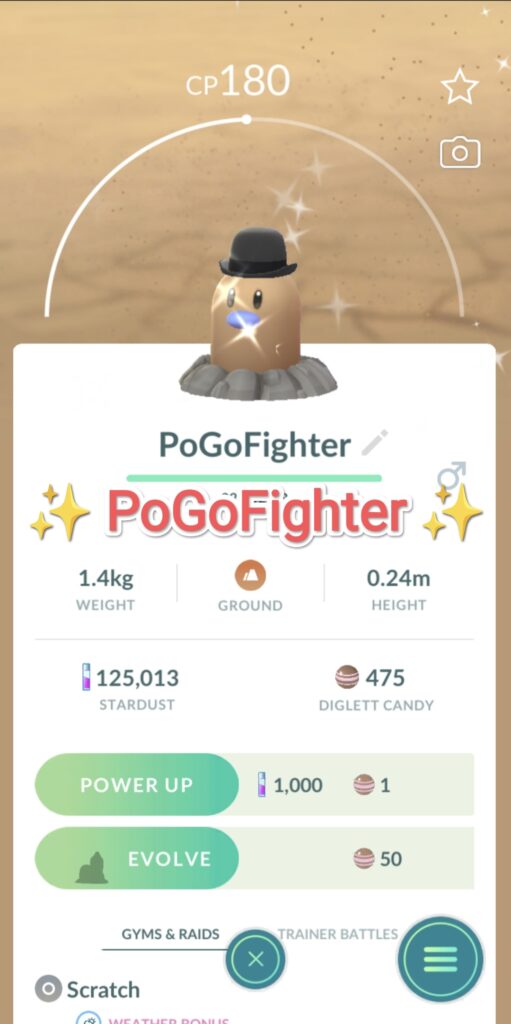 PoGoFighter