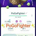 Pokémon GO Shiny Galarian Weezing - Trade 20.000 stardust (Read Describe)