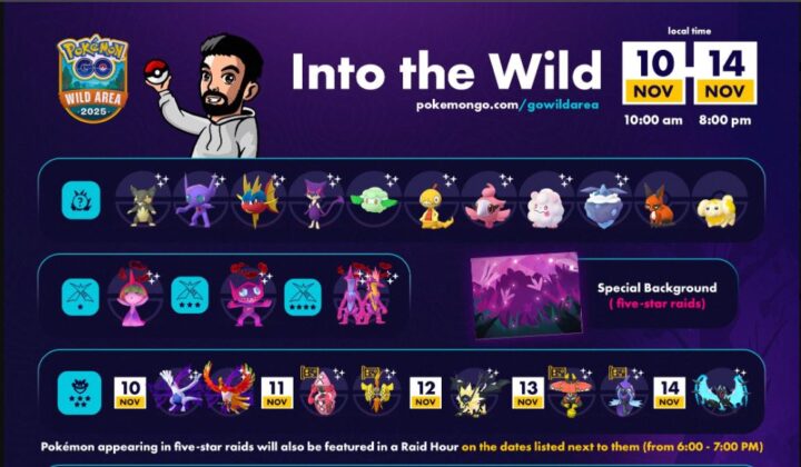 Pokémon GO Raid Boss Farm - x10 Legendary Pokemon - Into the Wild (READ DESCRIPTION)