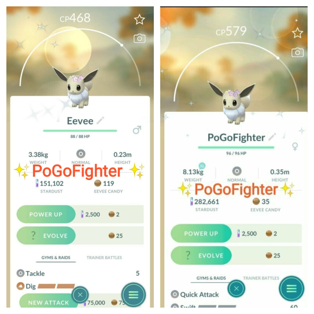 PokéMon Go Shiny Eevee Adrored with Cherry Blossoms - P”T C or Trade  Registered