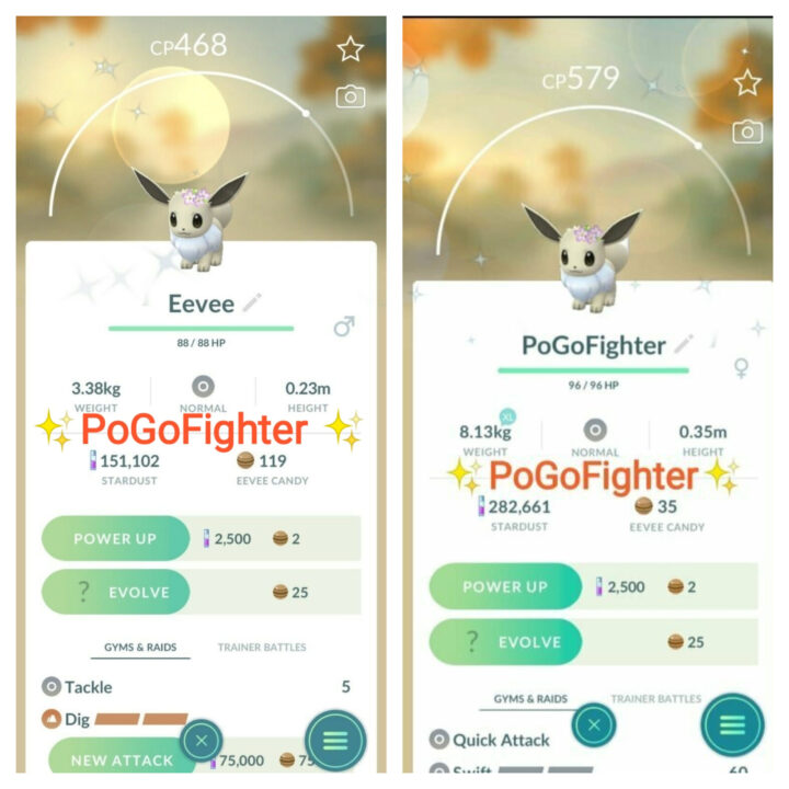 My girlfriend's shiny pokemon. Which ones are the rarest? : r/pokemongobrag