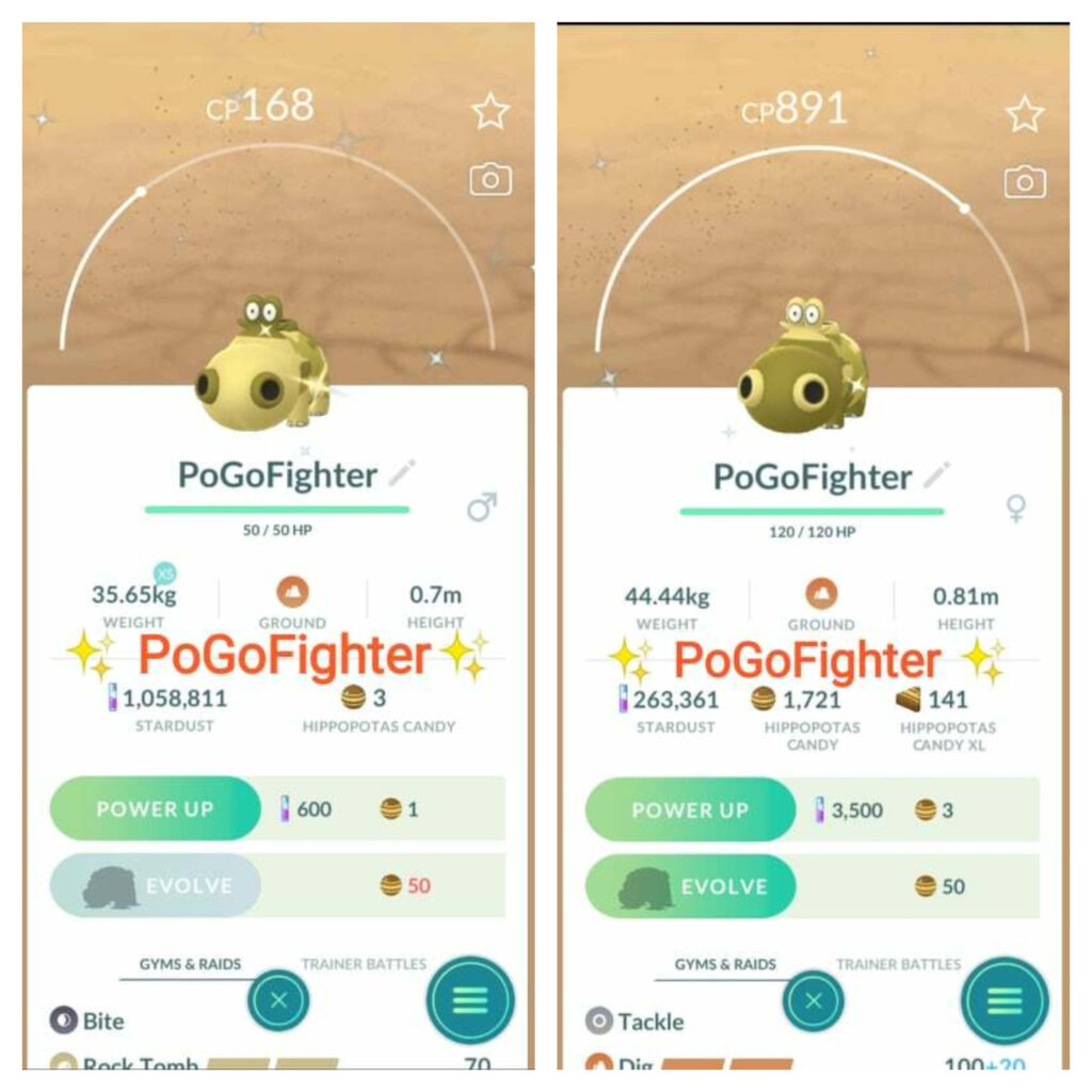 PoGoFighter