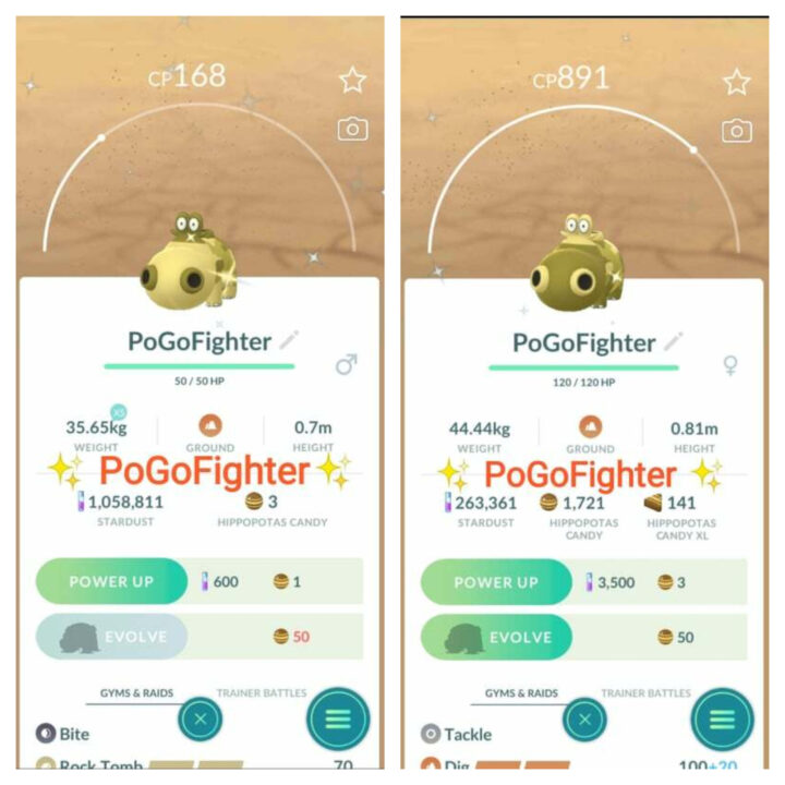 Pokémon GO Salandit (Male or Female) - Trade 20.000 stardust (Read  Describe) - PoGoFighter