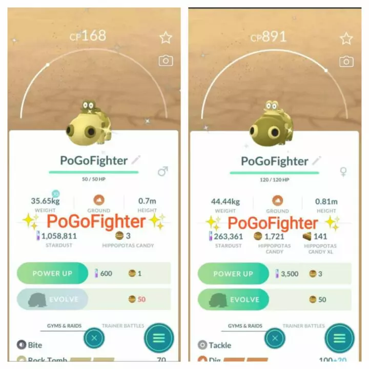 Pokémon GO Shiny Hippopotas (Male or Female) - Trade 20.000 stardust (Read Describe)