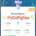 Pokémon GO Shiny Cubchoo Winter Holiday Costume - Trade 20.000 stardust (Read Describe)