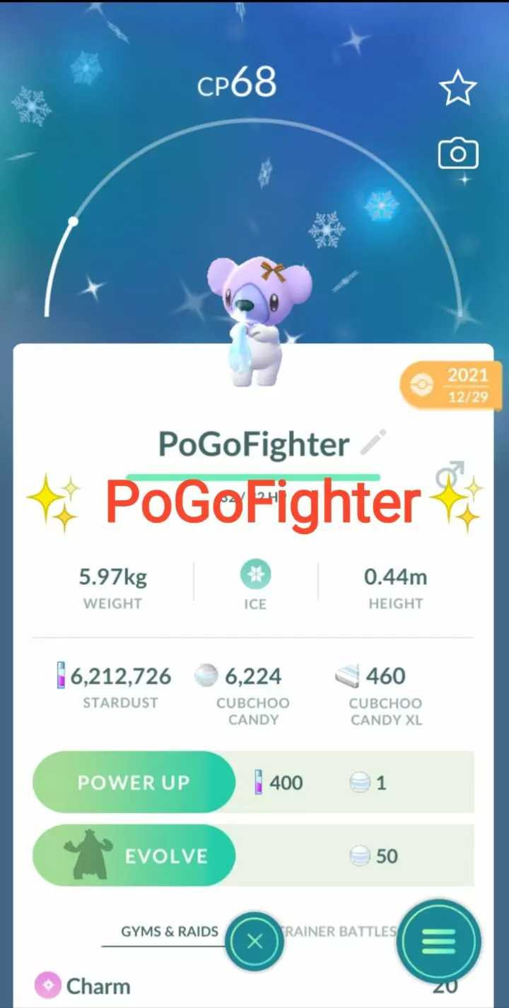Pokémon GO Shiny Cubchoo Winter Holiday Costume - Trade 20.000 stardust (Read Describe)