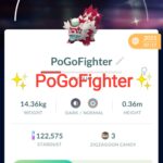 Pokémon GO Shiny Galarian Zigzagoon Meloetta Hat - GO Fest 2021 - Trade 20.000 stardust (Read Describe)