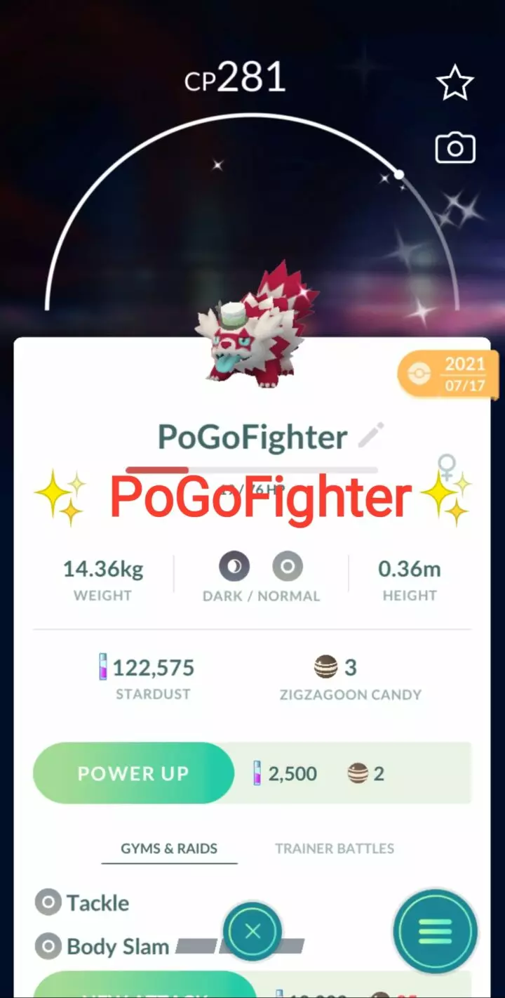 Pokémon GO Shiny Galarian Zigzagoon Meloetta Hat - GO Fest 2021 - Trade 20.000 stardust (Read Describe)