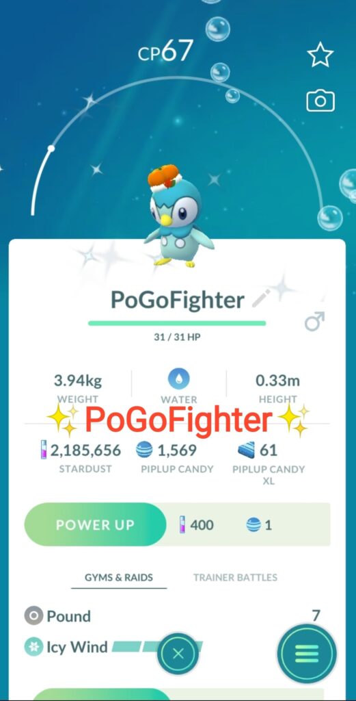 PoGoFighter