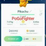 Pokémon GO Shiny Charizard Hat Pikachu - Trade 20.000 stardust (Read Describe)