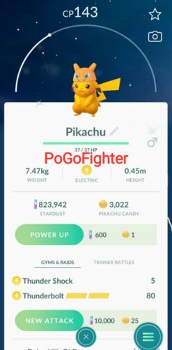 Shiny Pichu Blumenkranz Pokemon Go Shiny Pichu Flowercrown 