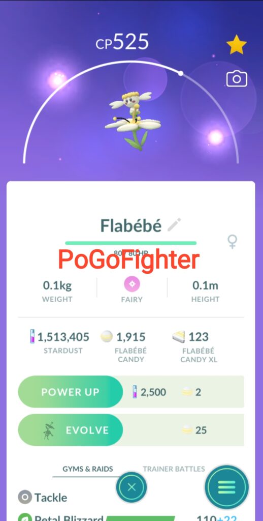 PoGoFighter