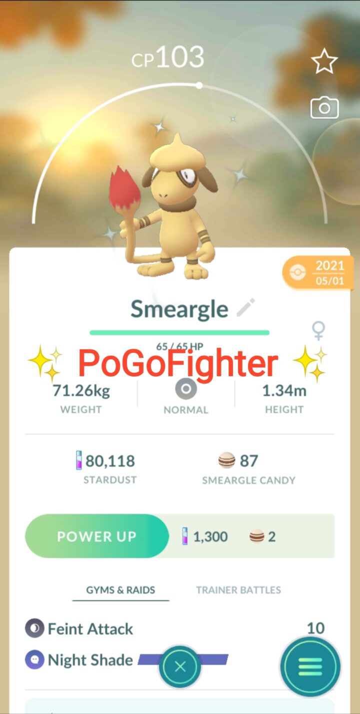 Pokémon GO Shiny Flying Pikachu with Purple Balloons – Singapore – Trade  20.000 stardust (Read Describe) - PoGoFighter