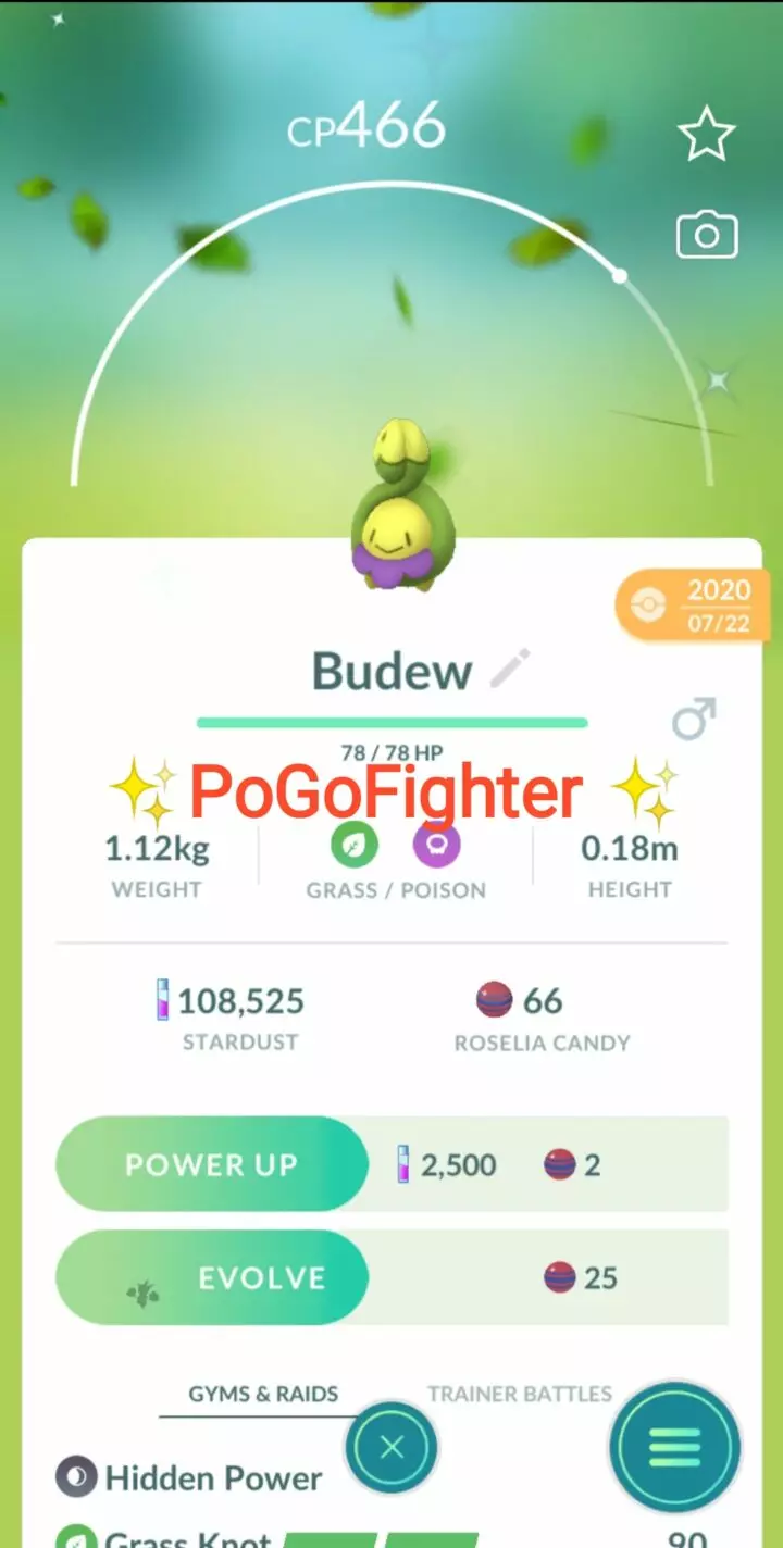Pokémon GO Shiny Budew – Trade 20.000 stardust (Read Describe)