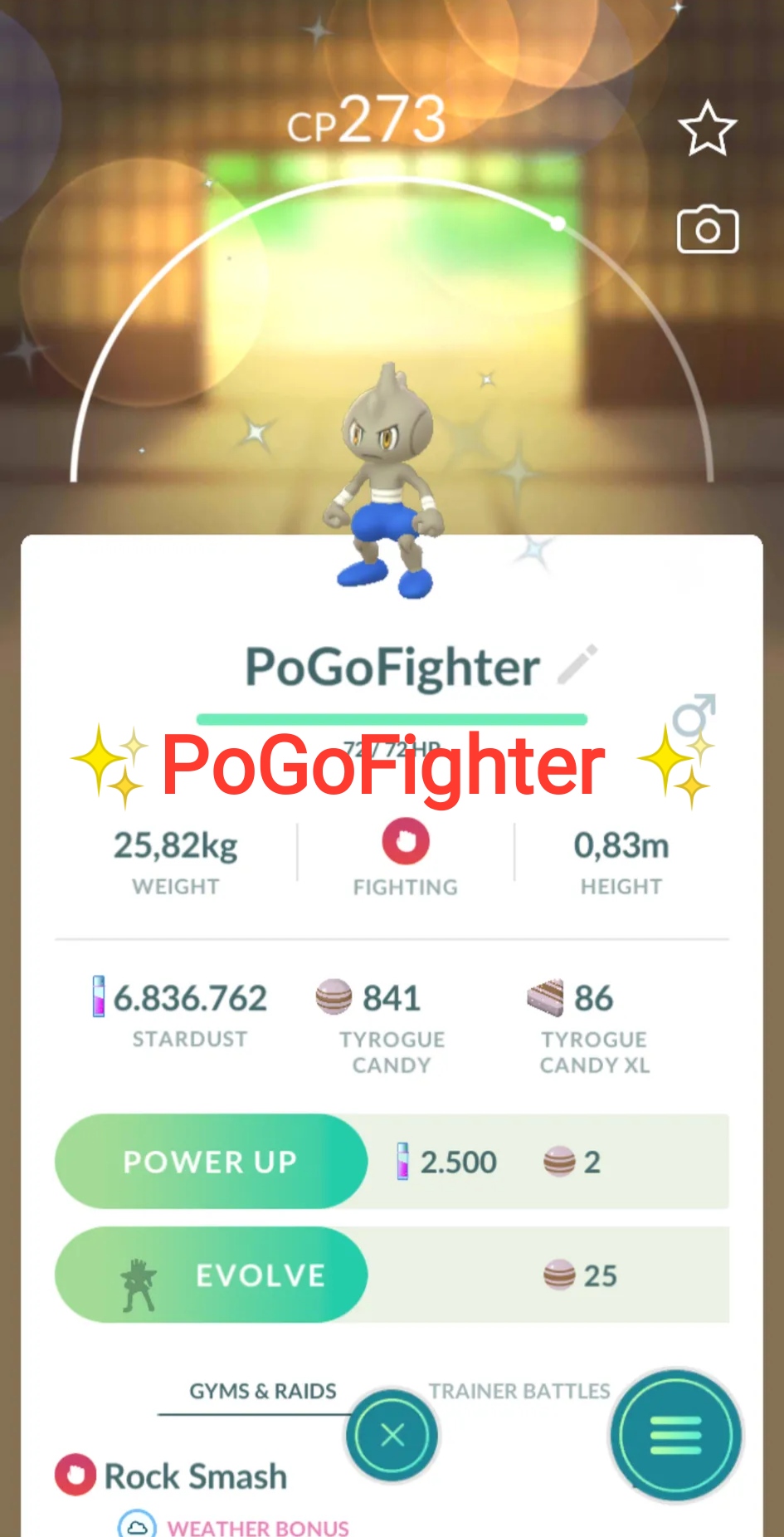 Pokémon GO Galarian Moltres – Mini Account (Read Describe) - PoGoFighter