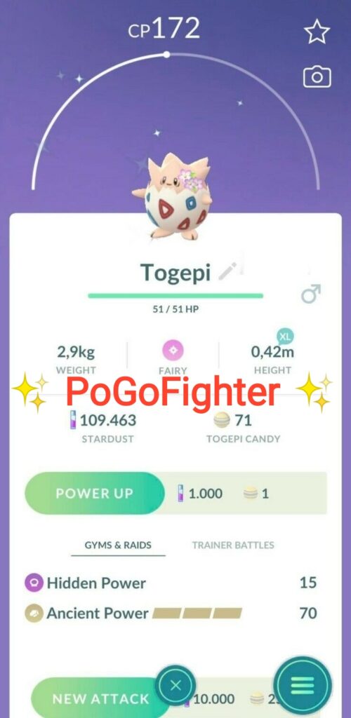 PoGoFighter