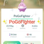 Pokémon GO Shiny Happiny Flower Crown – Trade 20.000 stardust (Read Describe)