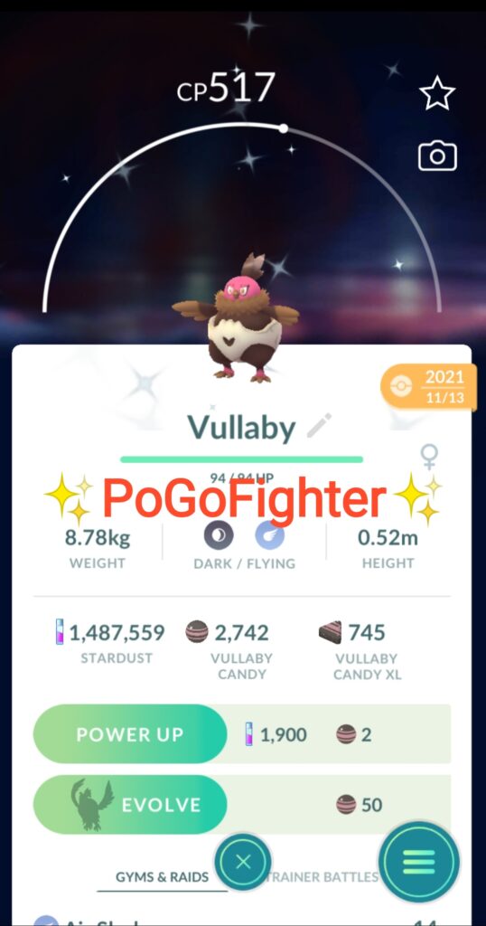 Pokémon GO Shiny Lucario Hat Pikachu - Trade 20.000 stardust (Read  Describe) - PoGoFighter