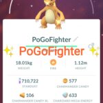Pokémon GO Shiny Party Hat Charmeleon – Trade 20.000 stardust (Read Describe)