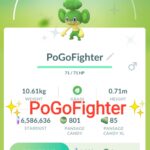 Pokémon GO Shiny Pansage – Trade 1.000.000 stardust (Read Describe)