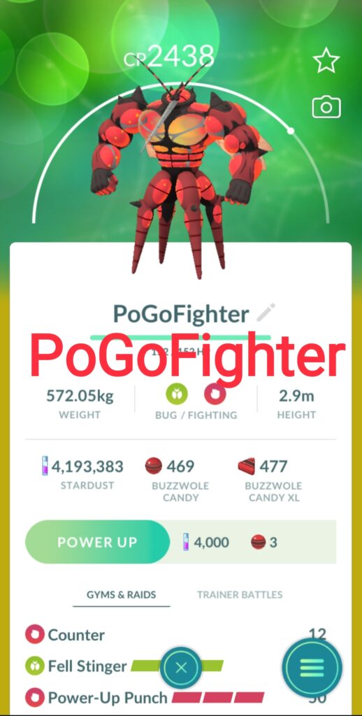 PoGoFighter