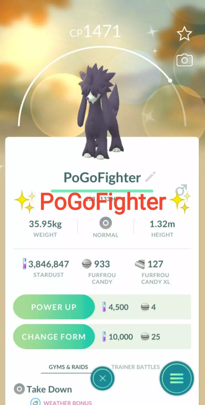 Pokémon GO Shiny Furfrou – Trade 20.000 stardust (Read Describe)