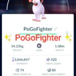 Pokémon GO Shiny Absol Glasses Fashionable Costume – Mini Account (Read Describe)