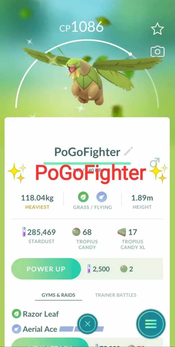 Pokémon GO Shiny Tropius – Trade 20.000 stardust (Read Describe)