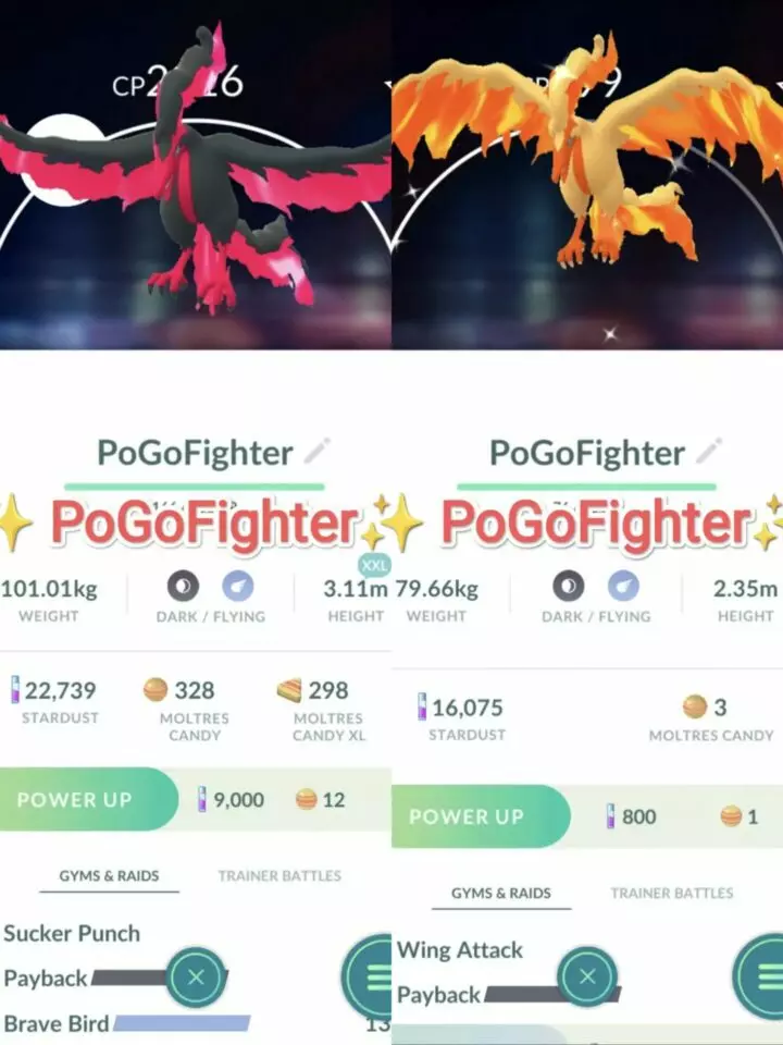 Pokémon GO Shiny Galarian Moltres / Galarian Moltres Level 40 / Level 50 – Unlock 2nd Charge ATK – PVP Master League – TRADE (Read Describe)