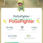 Pokémon GO Shiny Kecleon – Trade 1.000.000 stardust (Read Describe)