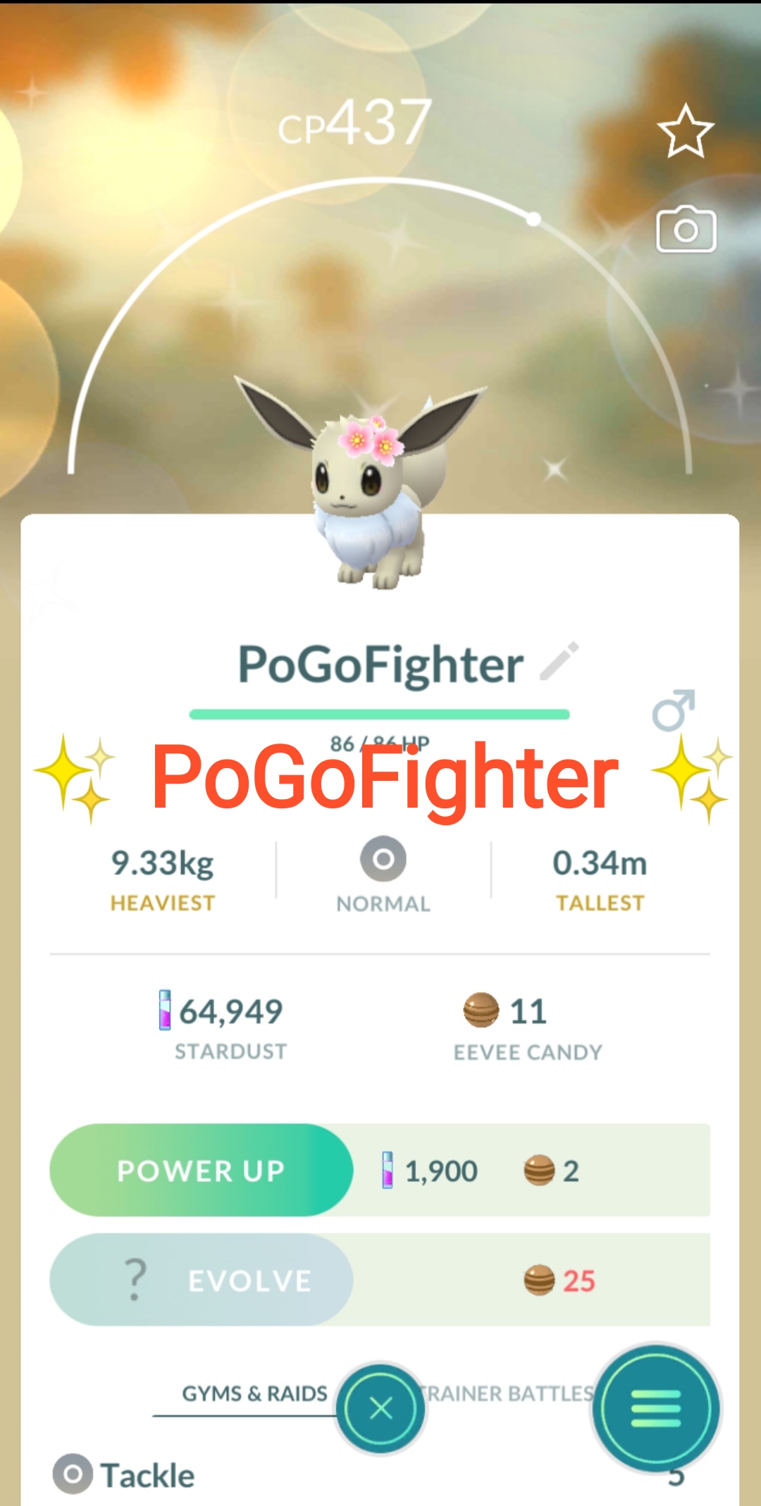 Pokémon GO Salandit (Male or Female) - Trade 20.000 stardust (Read  Describe) - PoGoFighter