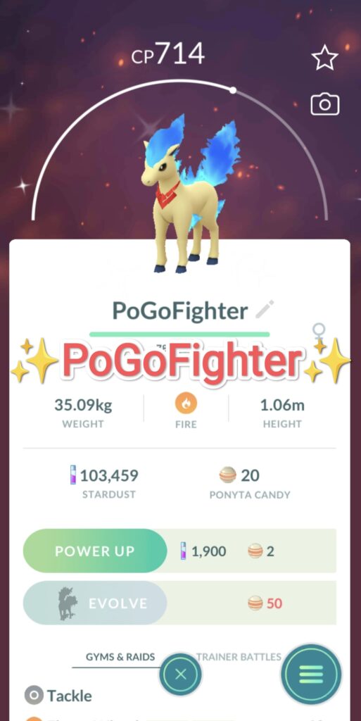 Rapidash ( Candela Themed Accessory ) Pokemon Trade Go