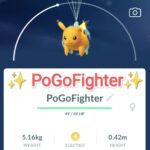 Pokémon GO Shiny Flying Pikachu with Orange Balloons - Jeju Island, South Korea – Trade 20.000 stardust (Read Describe)
