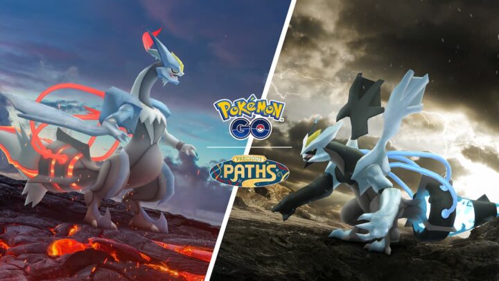 Pokémon GO Raid Boss Farm- x10 Kyurem Fusion Raid Day (READ DESCRIPTION)