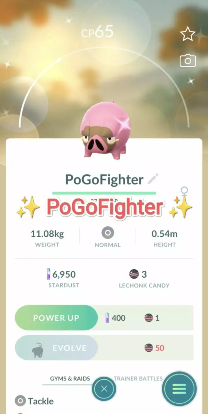 Pokémon GO Shiny Shiny Lechonk – Trade 1.000.000 stardust (Read Describe)