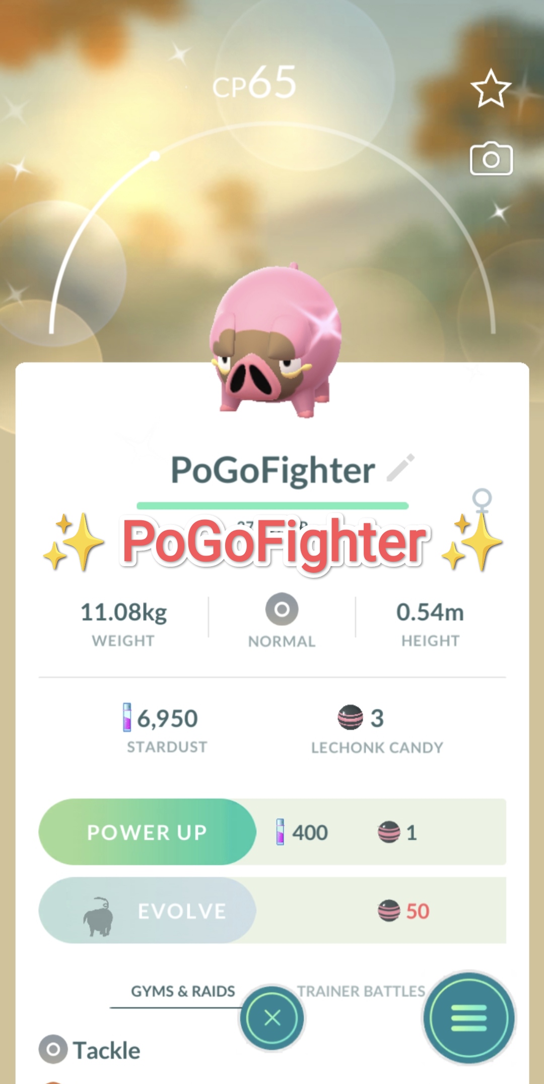 Pokémon GO Shiny Riolu - Trade 20.000 stardust (Read Describe) - PoGoFighter