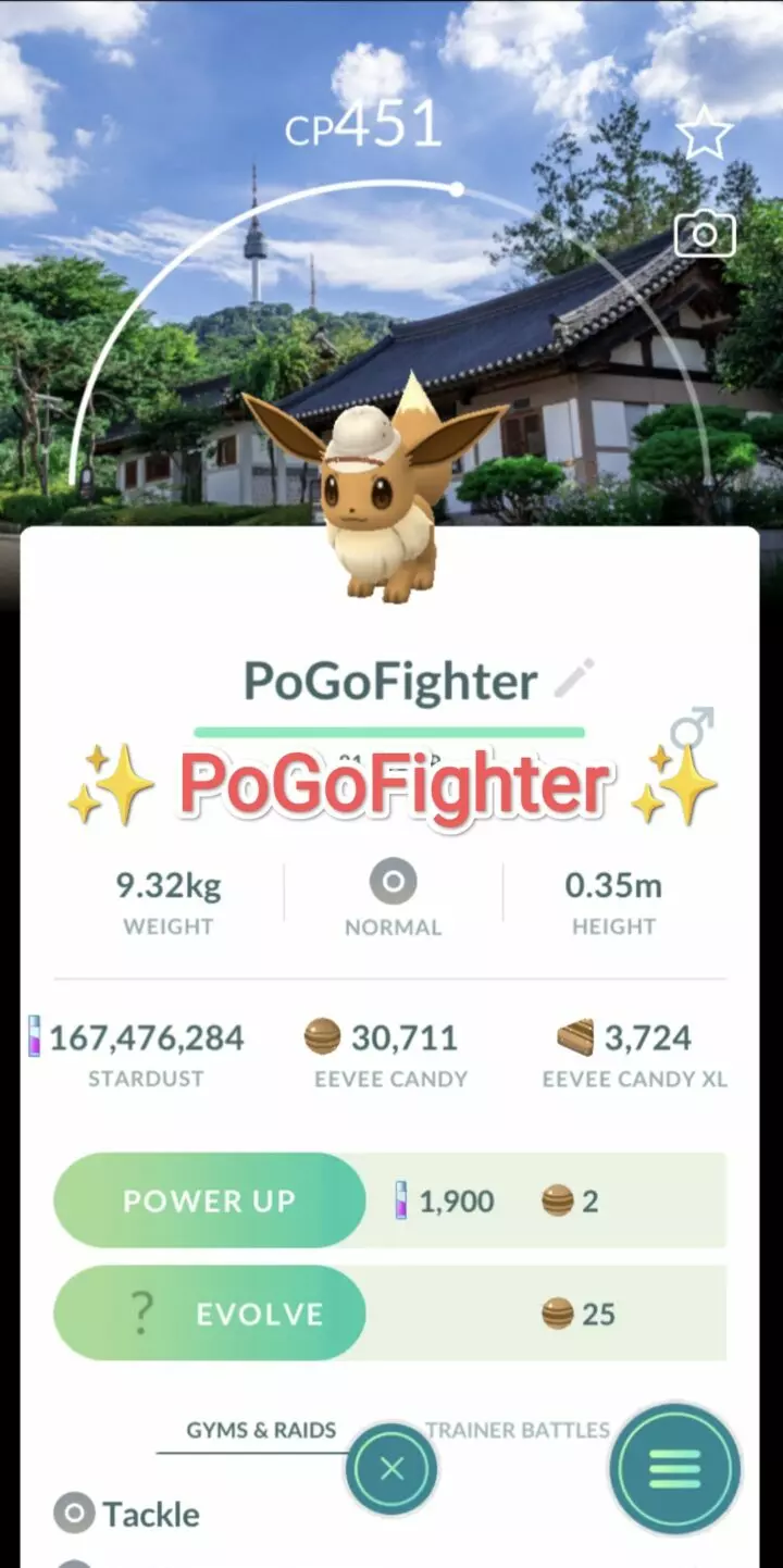 Pokémon GO Explorer Eevee - Seoul, South Korea Location Card Background – TRADE (Read Describe)