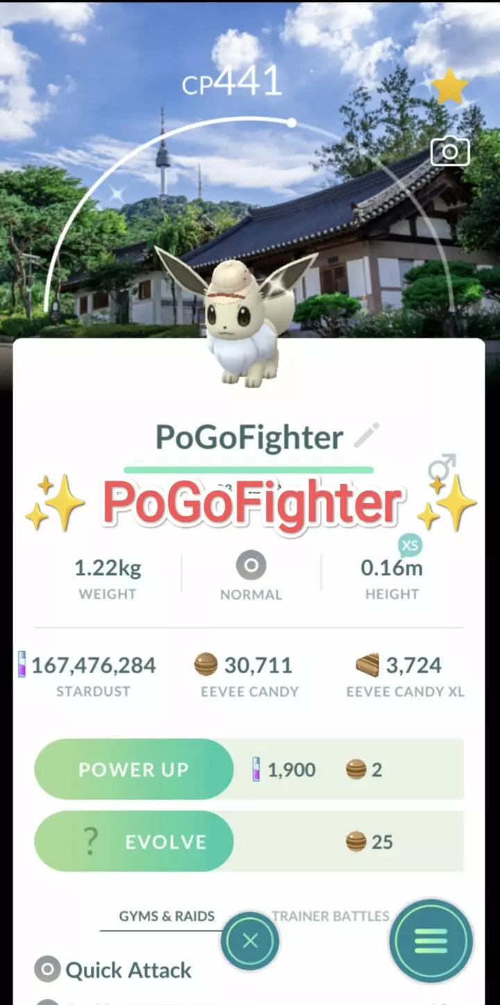 Pokémon GO Shiny Explorer Eevee - Seoul, South Korea Location Card Background - Trade 20.000 stardust (Read Describe)