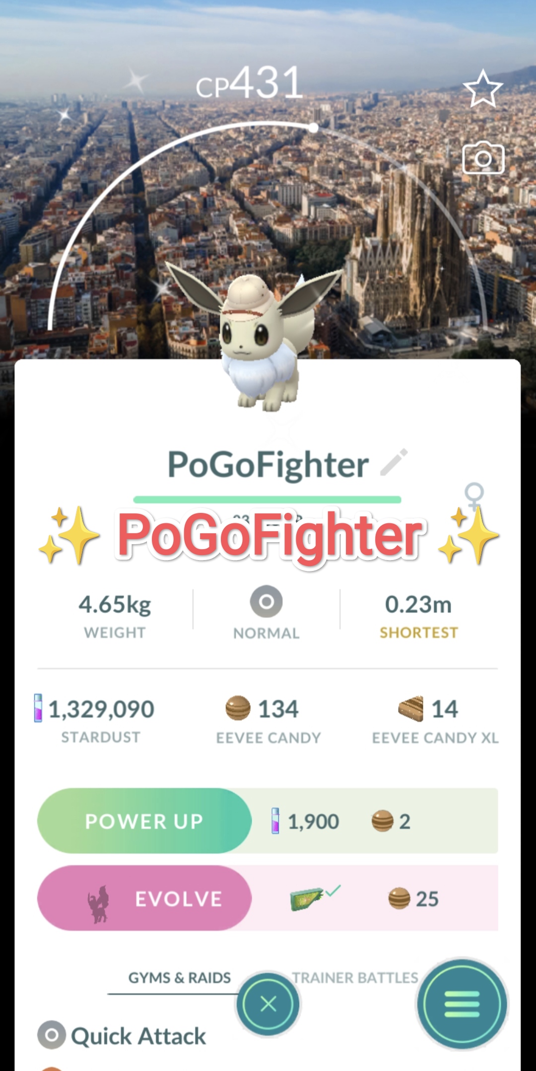 Shiny Eevee Trading - POGO Trading