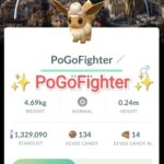 Pokémon GO Explorer Eevee - Barcelona, Spain Location Card Background – TRADE (Read Describe)