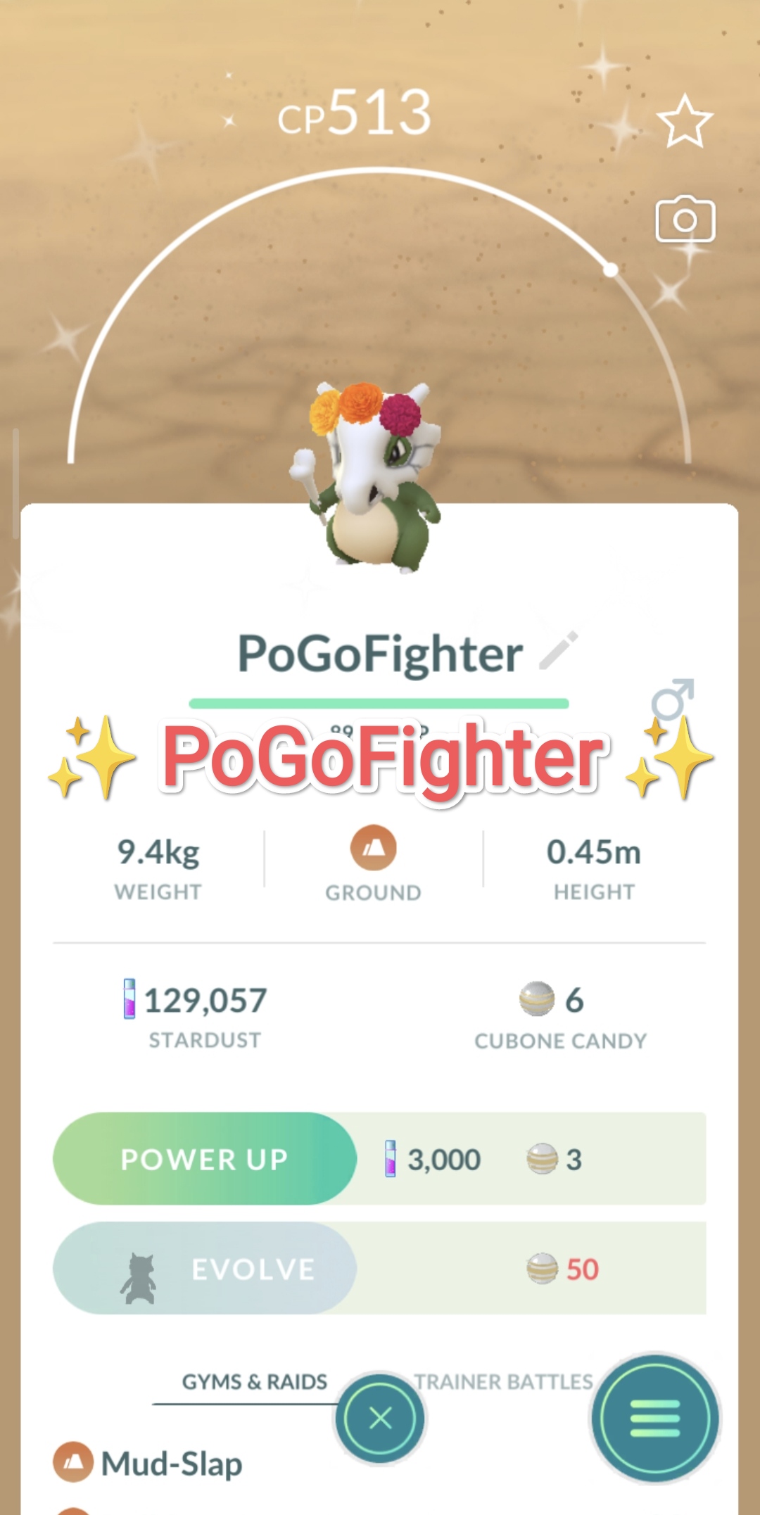 Pokémon GO Shiny Ho-Oh – Mini Account (Read Describe) - PoGoFighter