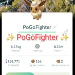 Pokémon GO Explorer Eevee - Mexico City, Mexico Location Card Background – TRADE (Read Describe)