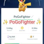 Pokémon GO Shiny Holiday Attire Pikachu - Trade 20.000 stardust (Read Describe)
