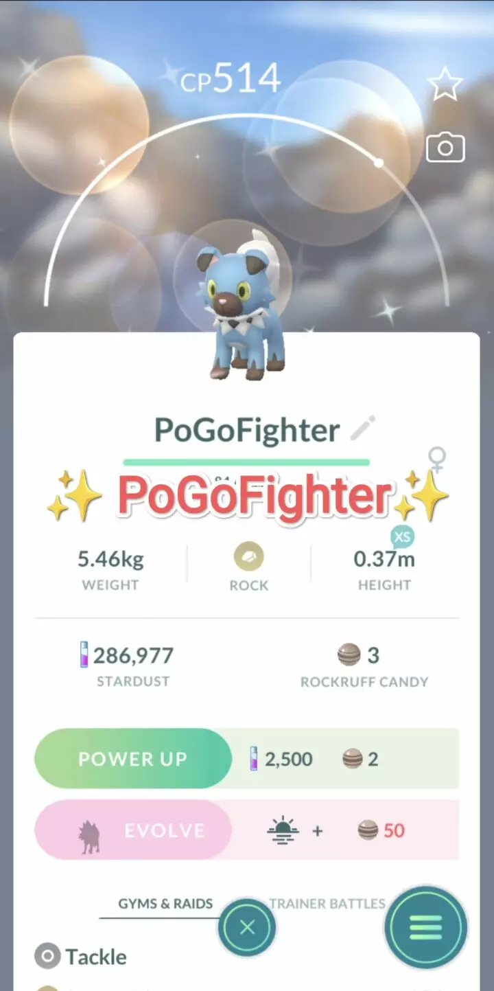 Pokémon GO Shiny Rockruff - Can evolve Lycanroc (Dusk Form) – Trade 20.000 stardust (Read Describe)