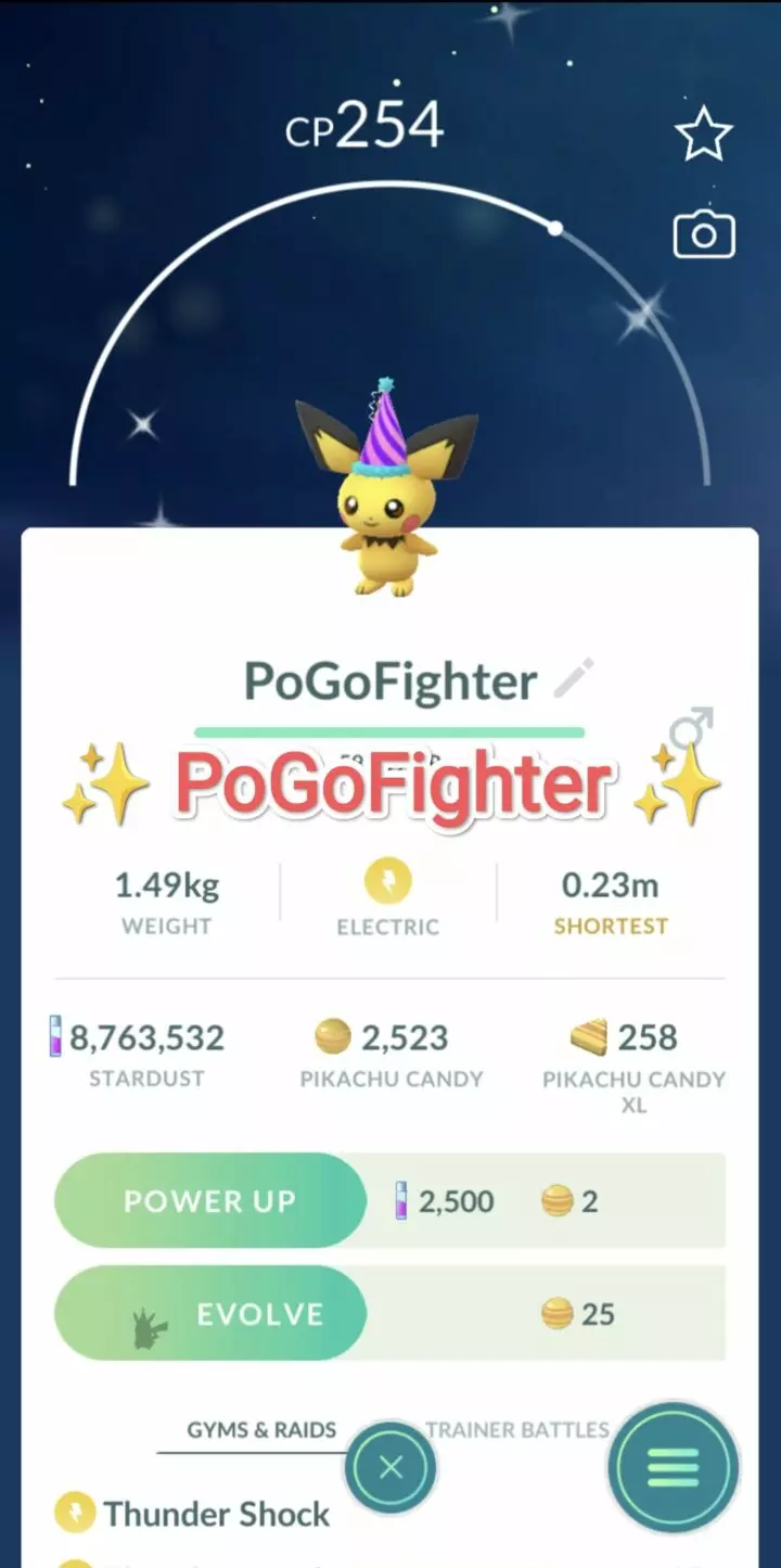 Pokémon GO Shiny Pichu Party Hat – Trade 20.000 stardust (Read Describe)