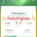 Pokémon GO Shiny Shiny Cutiefly – Trade 1.000.000 stardust (Read Describe)