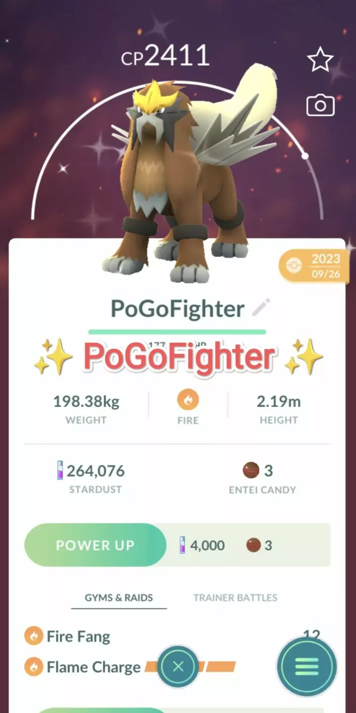 Pokémon GO Shiny Entei – Mini Account (Read Describe)